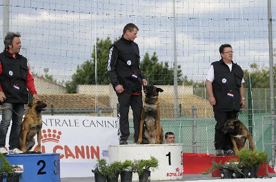 Remise des Prix 201.JPG - CHIENPLUS.COM